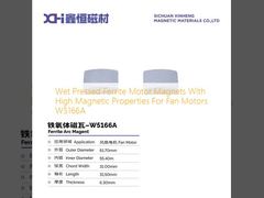 Wet Pressed Ferrite Motor Magnets With High Magnetic Properties For Fan Motors W5166A